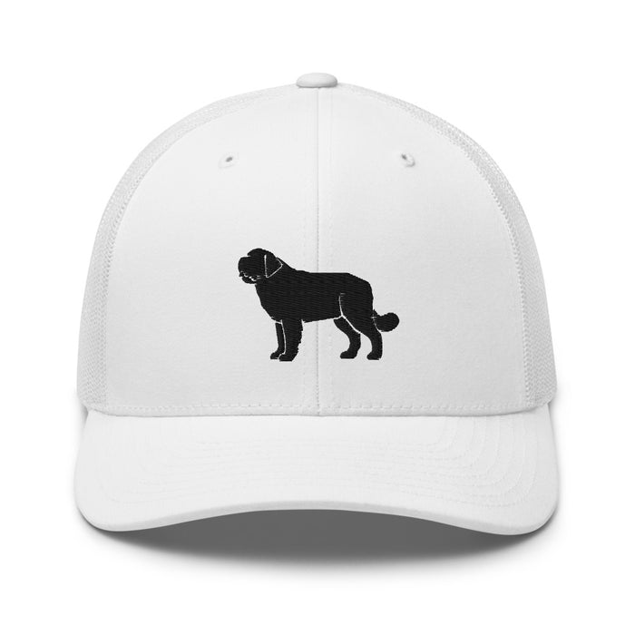 Signature Mesh Hat