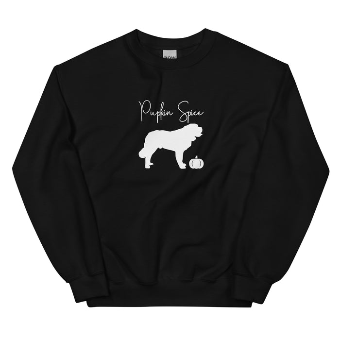 "Pupkin" Spice Sweatshirt
