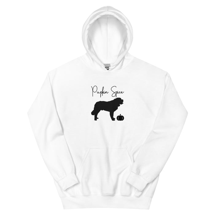 "Pupkin" Spice Hoodie