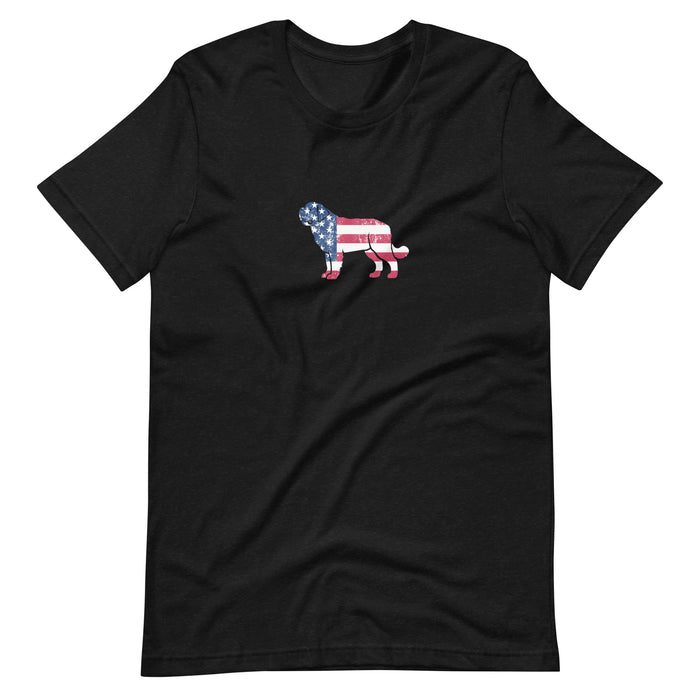 "American Saint" Tee