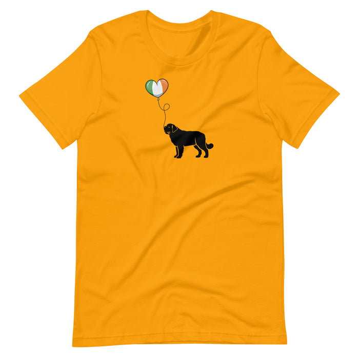 St. Paddy's Tee