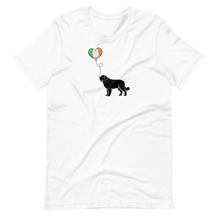 St. Paddy's Tee