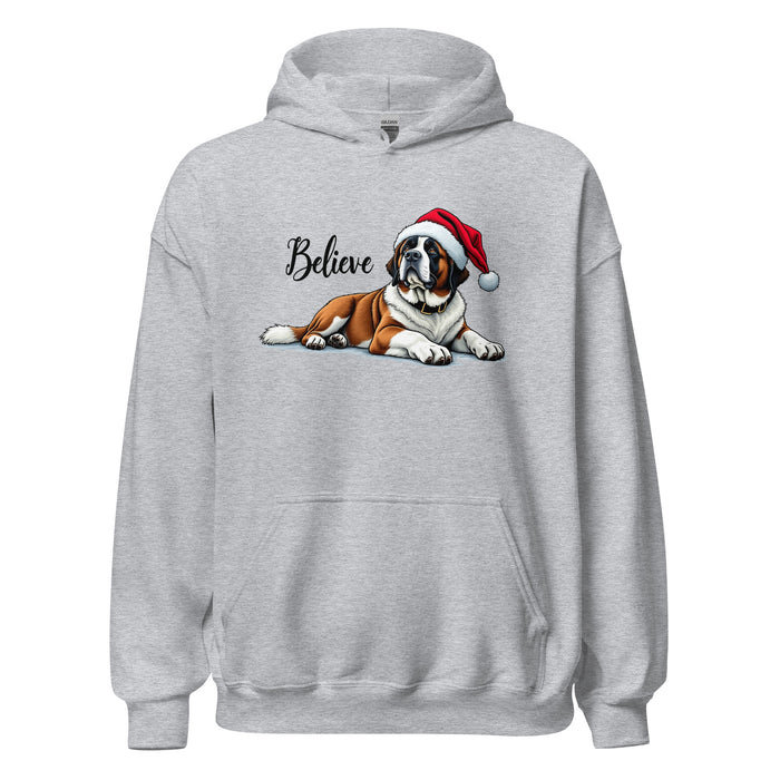 Believe Hoodie