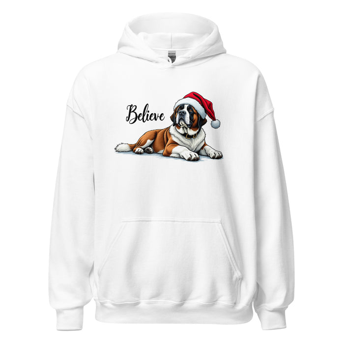 Believe Hoodie